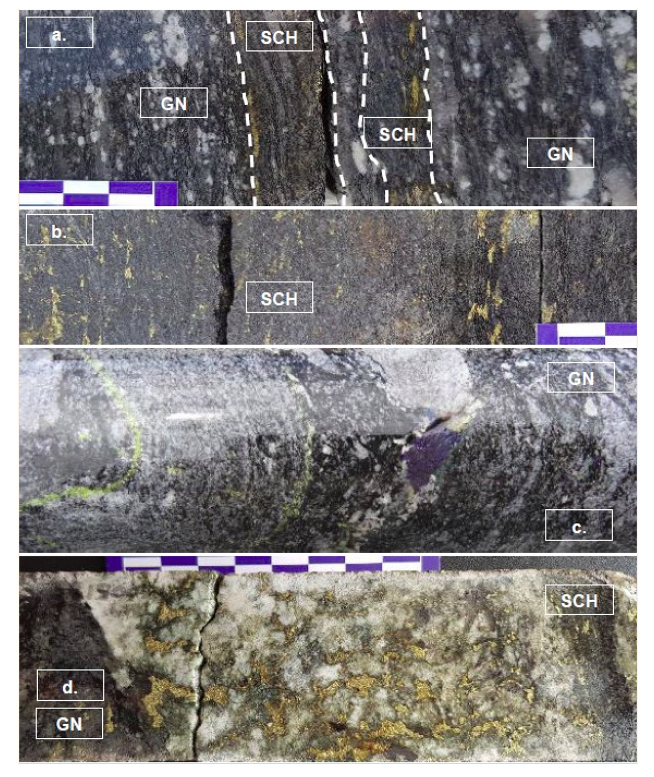 Core from drill holes